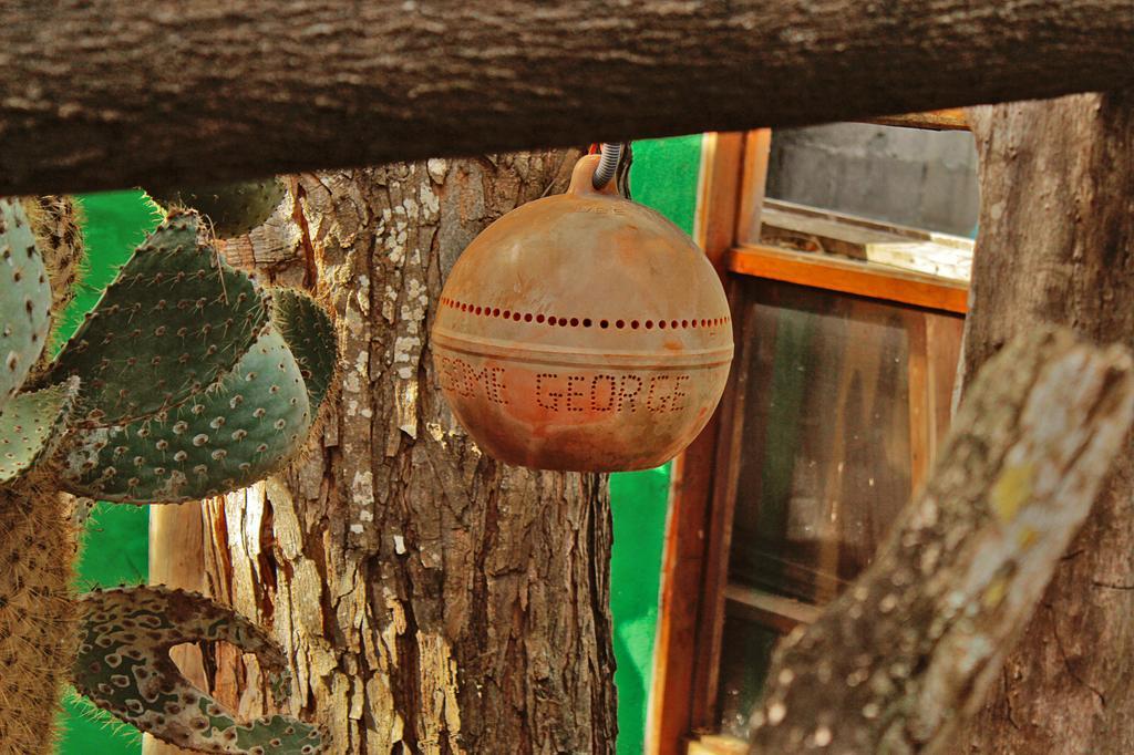 Lonesome George Ecolodge Puerto Ayora  Eksteriør bilde