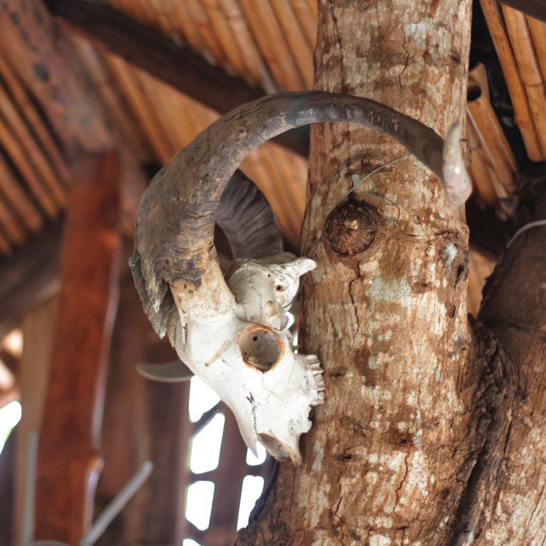 Lonesome George Ecolodge Puerto Ayora  Eksteriør bilde